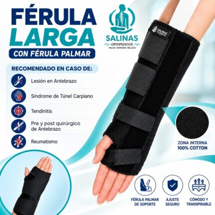 Férula Palmar Larga